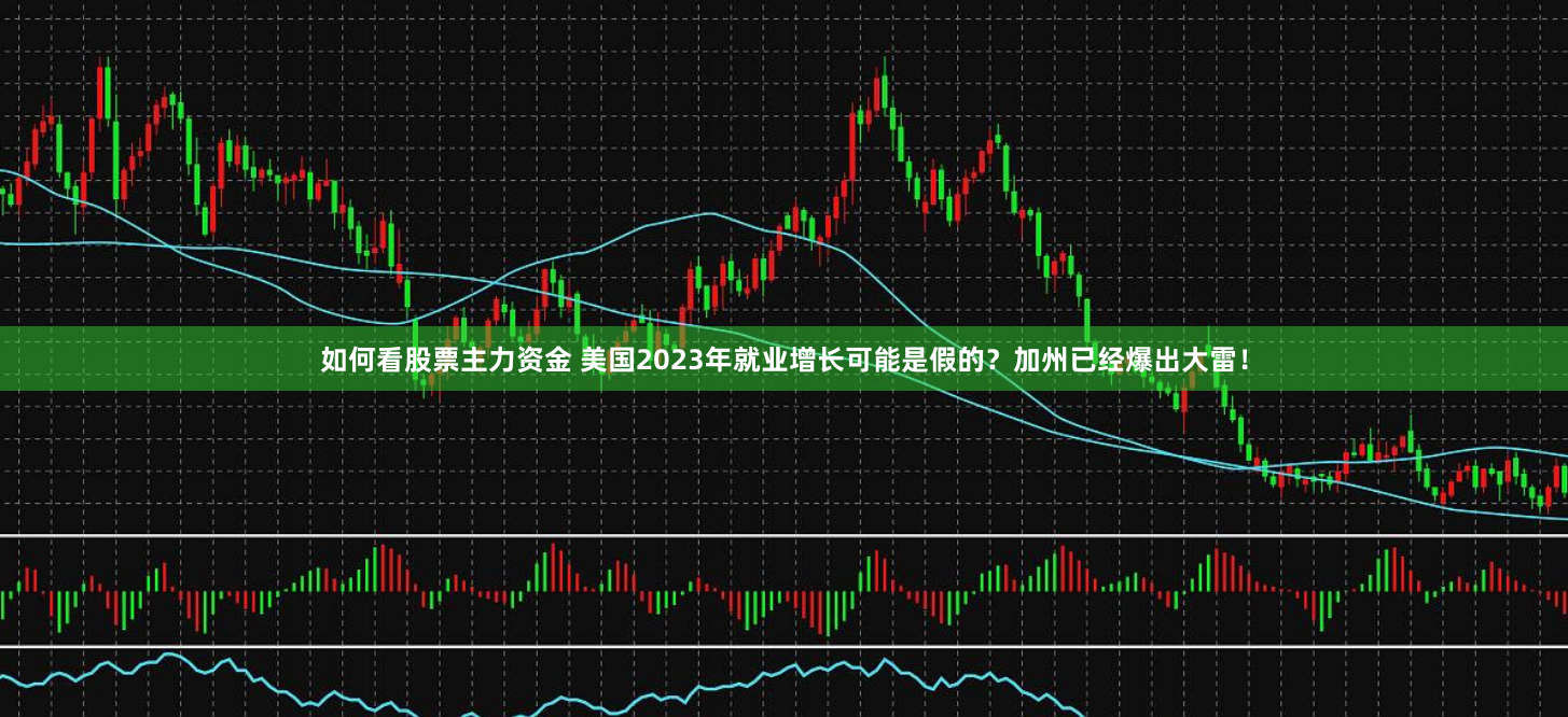 如何看股票主力资金 美国2023年就业增长可能是假的？加州已经爆出大雷！